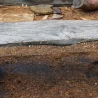 10. Bench in oak 