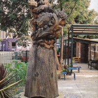 13. Mother and Child, oak, Pulross Road Brixton, London