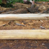 13. Bench in sweet chestnut