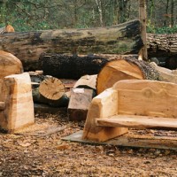 14. Slab seats, in beech and cedar