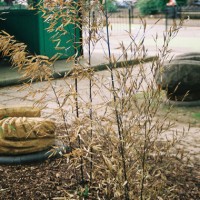 24. Play sculpture, Clapton Square, Hackney