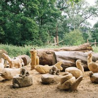 30. Work in progress. Animal seats in oak  for Sutton town centre