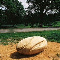 4. Large egg piece, oak