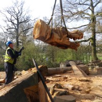 7. Dragons head for Moor Common, Luton